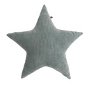 Cushion star teddy sense