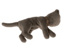 Peluche chaton 37cm