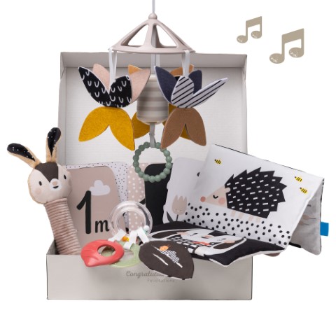 Newborn kit