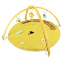 Activity play mat with arches