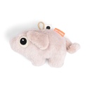 Rammelaar sensory Pigee