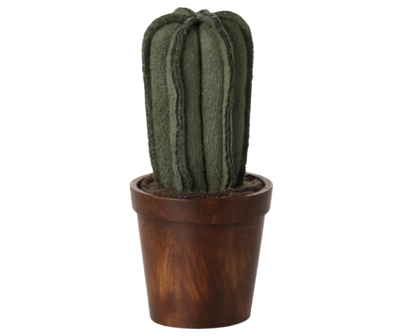 Bloempot met cactus