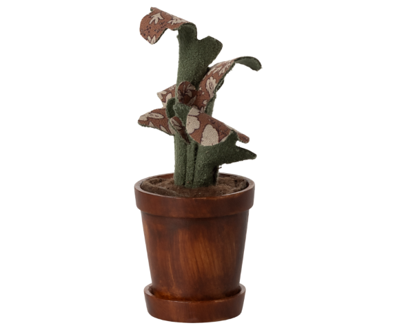 Bloempot met plant