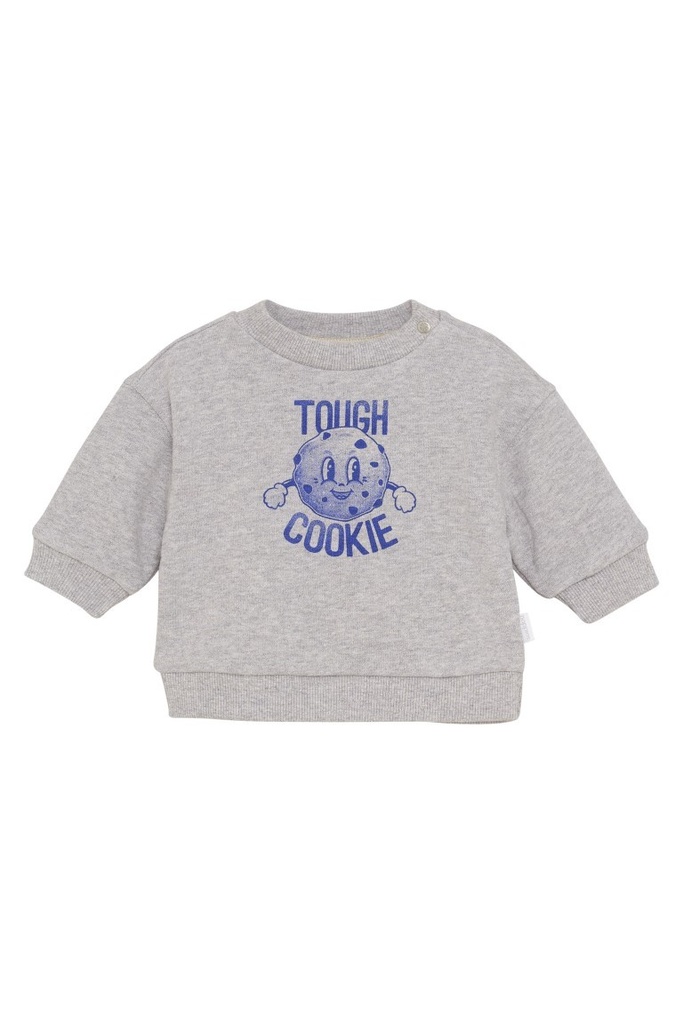 Long-sleeved sweatshirt Sardesi