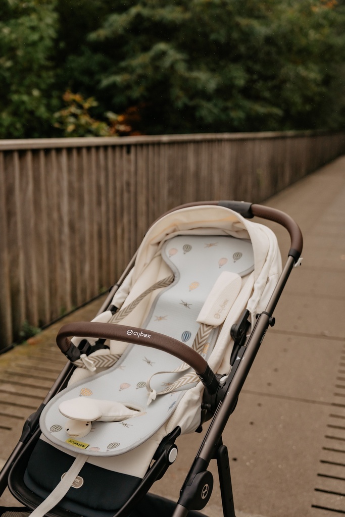 Air layer buggy