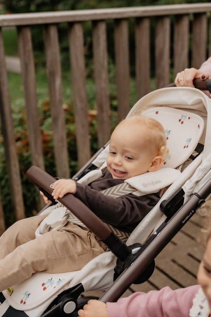 Air layer buggy