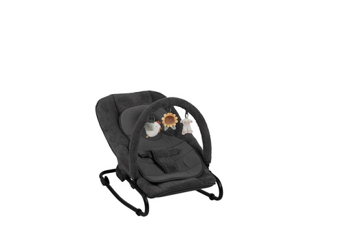 Bouncer (including play bow) grey 