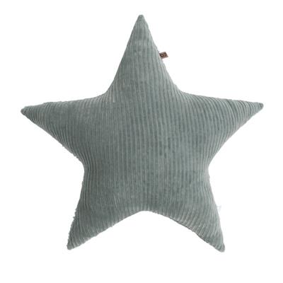 Cushion star teddy sense zeegroen 