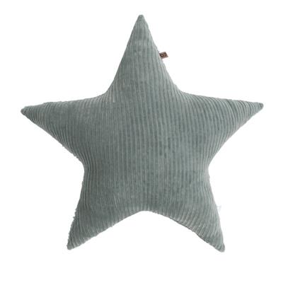 Cushion star teddy sense sea green