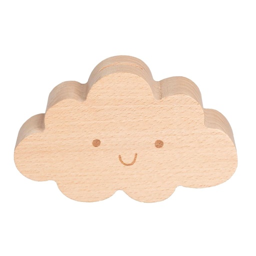 Money box bruin 