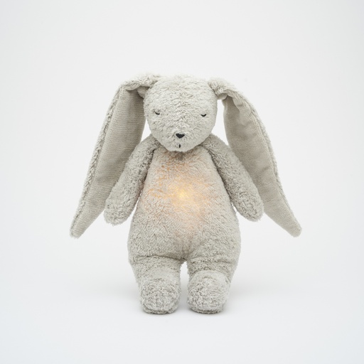 Lapin en peluche (avec son et lumière) gris