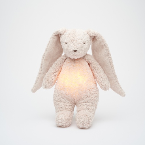 Lapin en peluche (avec son et lumière) rose