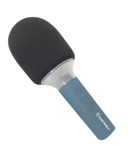 Karaoke Micro blue 