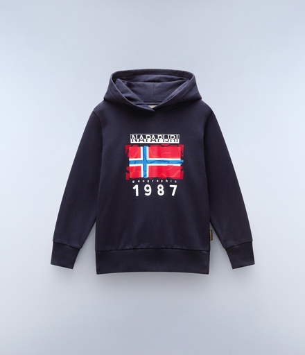 Sweat à capuche BLUE MARINE 