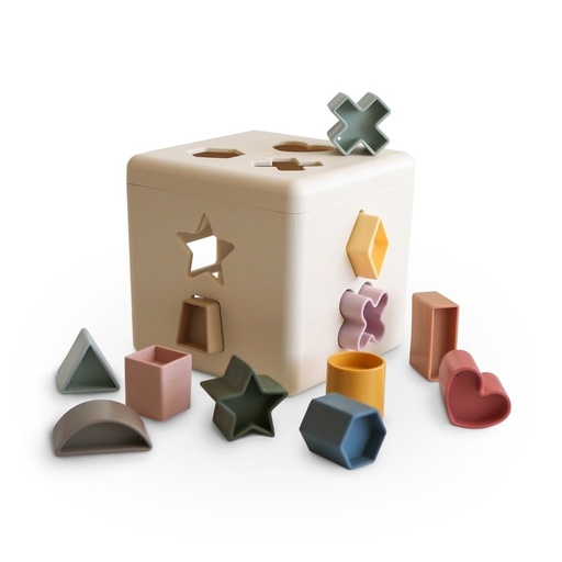 Doos met sorteervormen multicolor