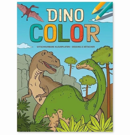 Dino Color kleurblok  