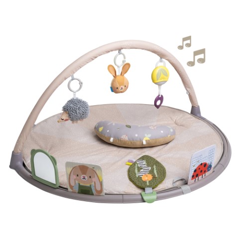 Tummy-time activiteitengym multi color 