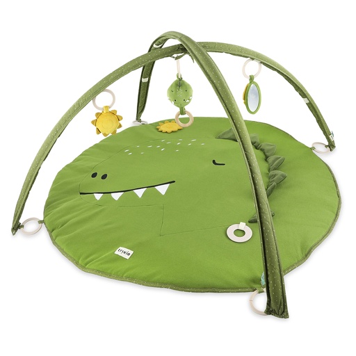 Activity play mat with arches mr. dino 