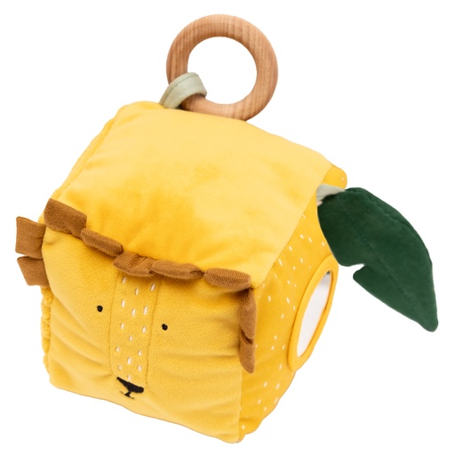 Activity cube mr. lion 