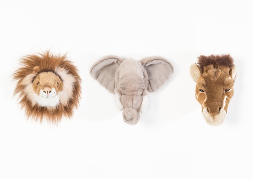 Safari box - set of 3 animal heads  