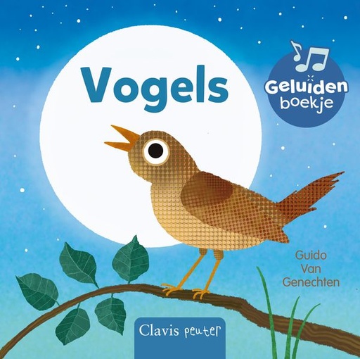 Vogels - geluidenboekje  