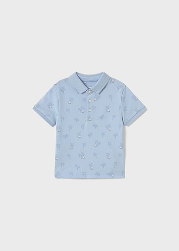 Polo sky 