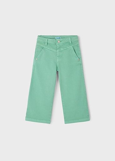 Broek mint