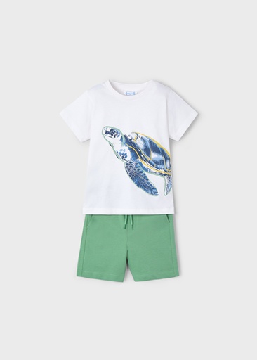 Set turtle white-darklaurel 