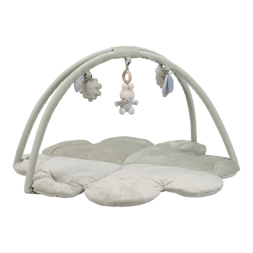 Speelkleed met boog lucky leaves 