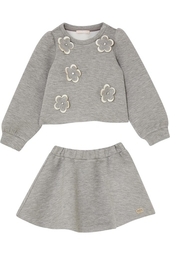 Set van trui en rok ICE GREY MELANGE 