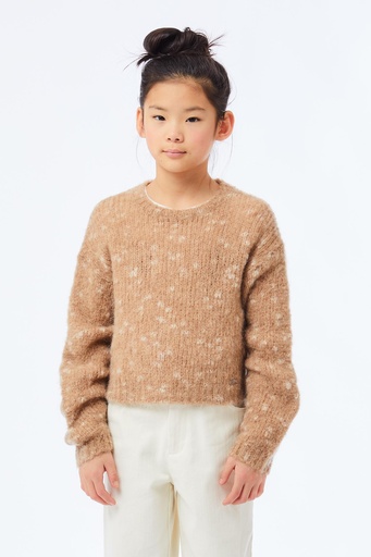 Trui CAMEL SOFT 