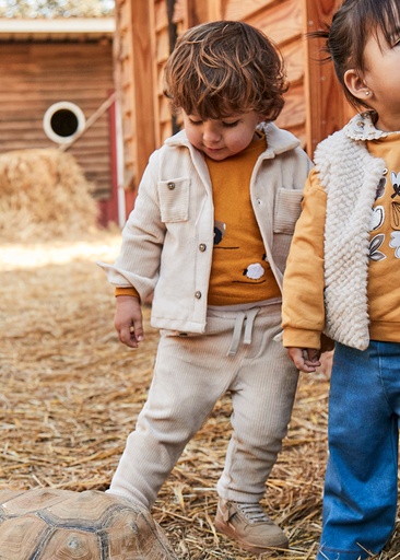 Broek van velours cereal 