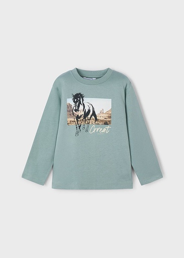 T-shirt met lange mouwen glacial 