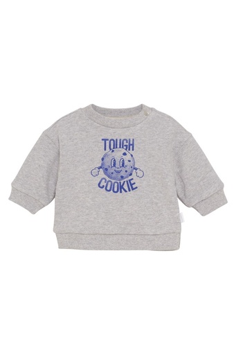 Sweat à manches longues Sardesi grey melange 