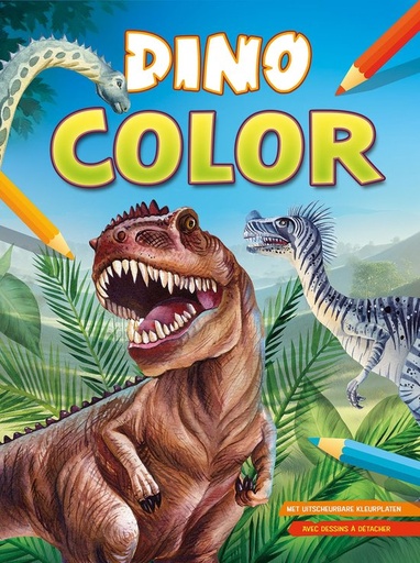 Dino color kleurblok  
