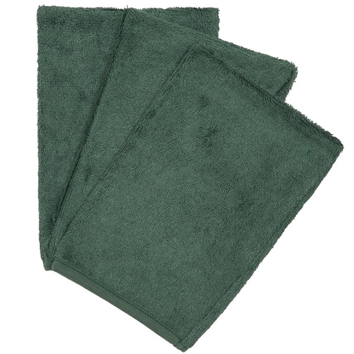 Washcloths (3 pieces) aspen