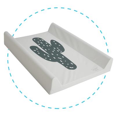 Laundry cushion cactus  