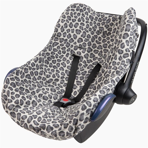 *Autostoelhoes (rocky leopard)