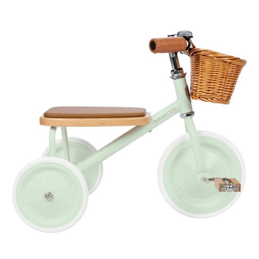 Tricycle trike pale mint