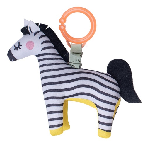 Dizi the zebra  