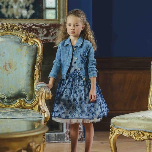 Jurk Tulle blauw 