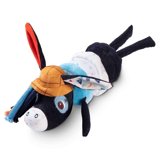 Mini danser Ignace  