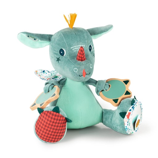 Multi-activity dragon Joe  