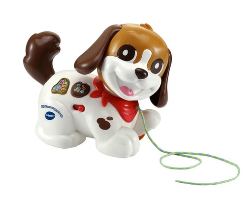 Mon premier ami chiot  
