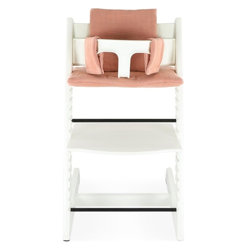 Cushion growth chair TT