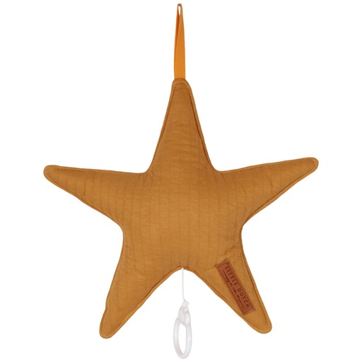 Boîte à musique étoile pure pure ochre spice 