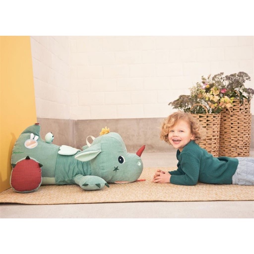 Trésorier Joe groen 