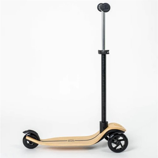 Scooter kids  