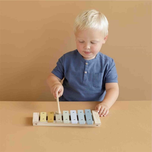 Xylophone blue 