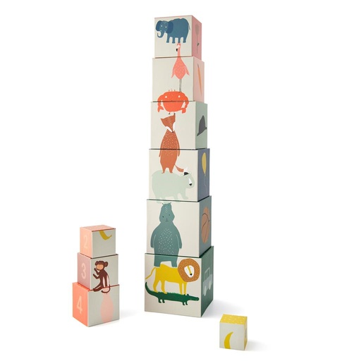 Stacking blocks multi color 